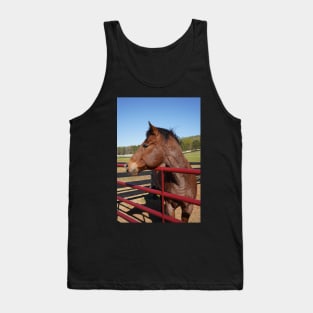 bay horse with red fence Tank Top